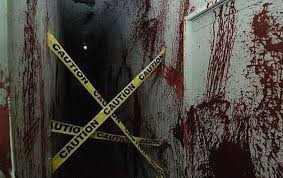 Image result for Haunted house