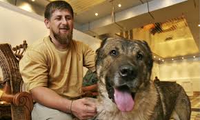 Image result for ramzan kadyrov