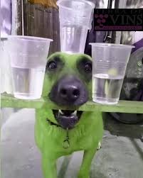 Vang Pháp Chính Hãng (@vangphapxin) • Facebook