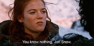 Upon Reflection – You Know Nothing Scott Poynton - you-know-nothing-jon-snow-gif