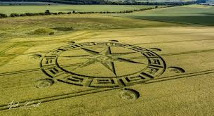 Crop circle appears in Sixpenny Handley | Salisbury Journal