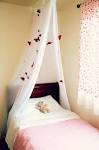 Kids bed canopy