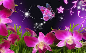 Image result for animated butterflies wallpaper