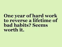 One year of hard work to reverse a lifetime of bad habits? Seems ... via Relatably.com