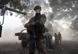 Image result for World Foreign Legions