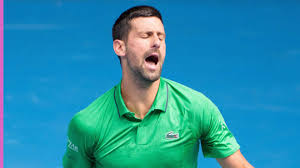 Novak Djokovic to chair umpire: 'You think that’s fair?'