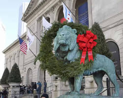 Image of Art Institute of Chicago in December