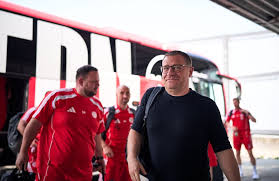 BILD - News update