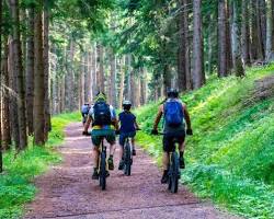 Baraque Fraiture mountain biking trail in Vresse-sur-Semois