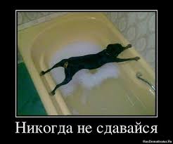 Картинки по запросу как мельчают мужчины