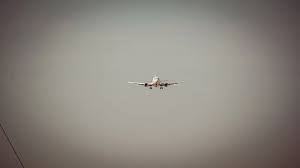 Plane returning from Novosibirsk to Omsk lands safely after technical issue