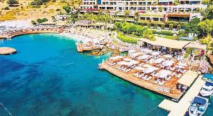 Milliyet - News update