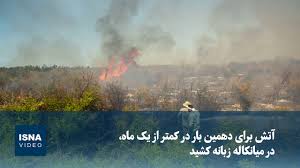 ویدیو/ آتش برای دهمین‌بار، در میانکاله زبانه کشید