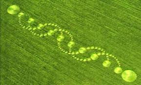 Resultado de imagem para crop circle do DNA