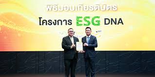 ข่าวหุ้นธุรกิจออนไลน์ - News update