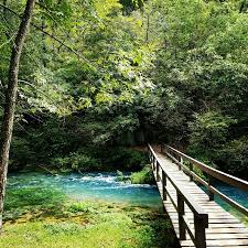 Image result for "Alley Spring"