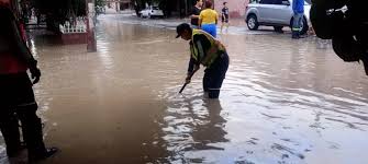 La Jornada - News update