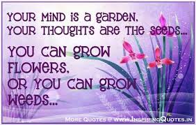 Image result for thoughts on life