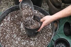 Resultado de imagen para sustratos de las orquideas