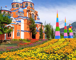 Gambar Taman Bunga Celosia