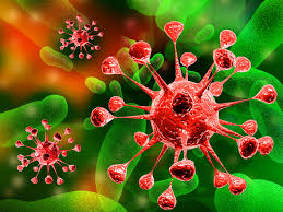 Image result for What Is An Astro Virus Infection?