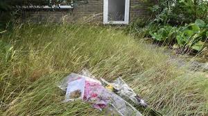 De Telegraaf - News update