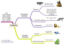 Image result for organisms and their environment