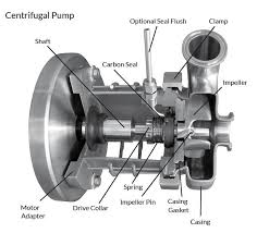 C114MD Pump with Explosion Proof Motor – CPE Systems Inc.