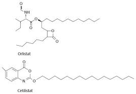 Image result for Cetilistat