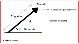 Resultado de imagen para vectores fisica