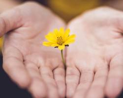 Hayırsever yılbaşı hediyesi resmi