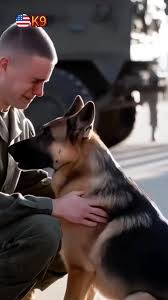 hagnerstrongk9 | TikTok