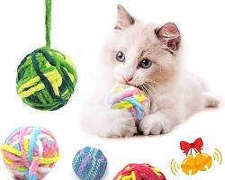 cat playing with a yarn ballの画像