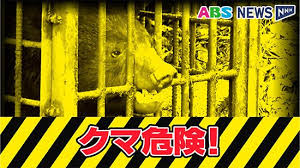 日テレNEWS NNN - News update