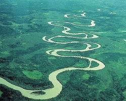 Meander patterns in nature