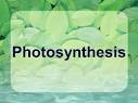 Questions for 2 parts of photosynthesis <?=substr(md5('https://encrypted-tbn2.gstatic.com/images?q=tbn:ANd9GcSvFgQyRhrMe4G--ryfcAkrVLtQlXy4JllUd47ulb_mgBPToUYC3HK_7w'), 0, 7); ?>