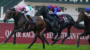 Racing Post - News update