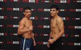 Box Hoy