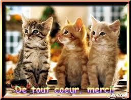 Résultat de recherche d'images pour "Merci a toi aussi"