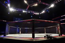 Prediction, pick for Lawrence Lui vs. Hector Santiago at UFC Shanghai