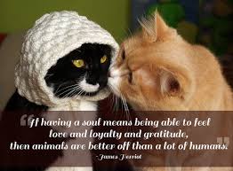 21 Quotes That Will Make You Want To Hug Your Pet via Relatably.com