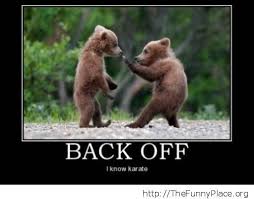 Funny karate bear cub – Funny Pictures, Awesome Pictures, Funny ... via Relatably.com