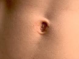 Image result for navel