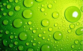 Resultado de imagen de cerveza verde
