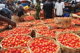 Image result for agriculture in nigeria