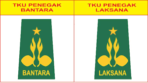 Hasil gambar untuk sku dan tku pramuka