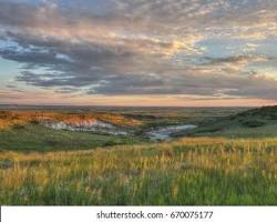 Image of East Texas Landscape