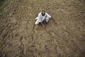 Image result for tamil nadu farmers