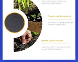 Hình ảnh về Sodium humate improving soil structure