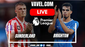 Brighton wins on the road against Sunderland and remains near the top of the standings